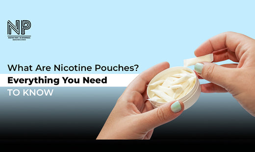 What Are Nicotine Pouches? Everything You Need to Know