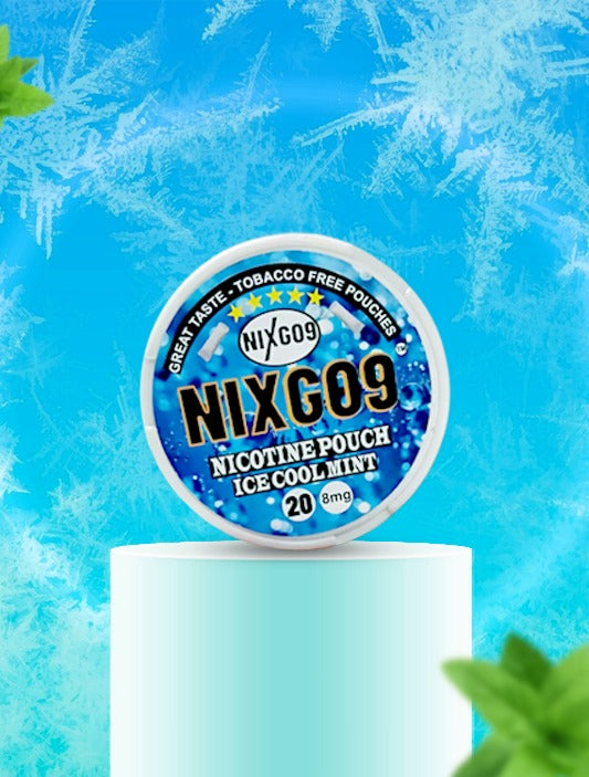 أكياس نيكوتين NIXGO9 بنكهة النعناع المنعشة - ٢٠ كيسًا